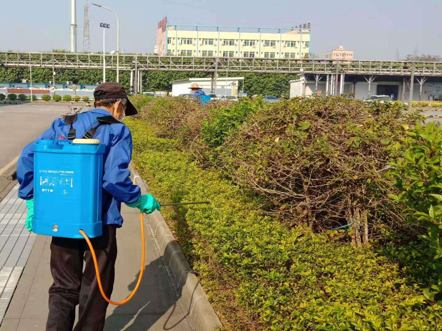 工廠綠化養(yǎng)護(hù)施肥工作