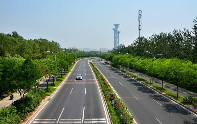 道路綠化養(yǎng)護(hù)