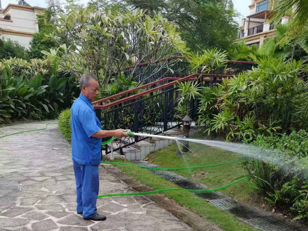 做好觀湖園小區的春季綠化養護工作