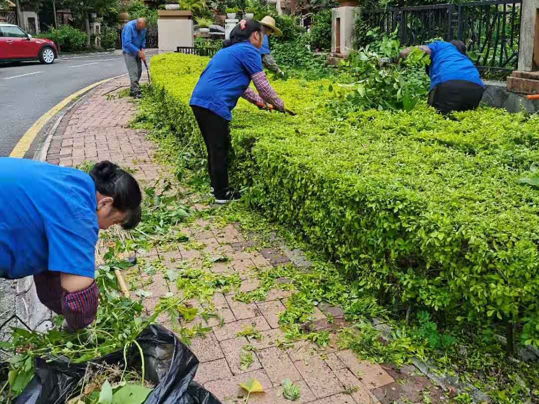 春季綠化養護花灌木的修剪