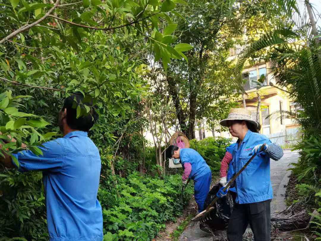小區綠化養護清理雜草樹枝