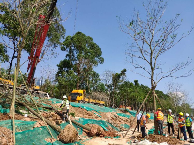 園林綠化工程施工過程中容易被忽略的細節