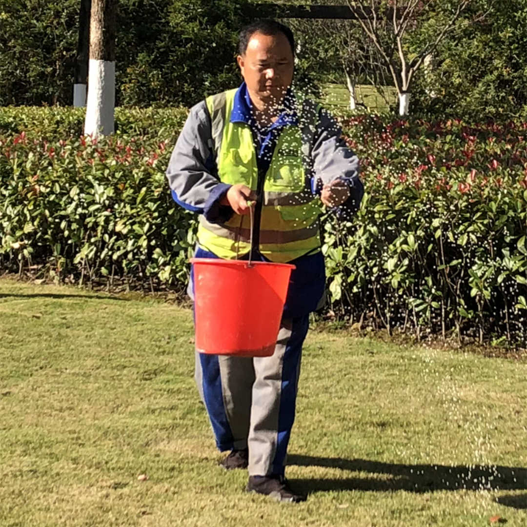 冬季綠化養護施肥