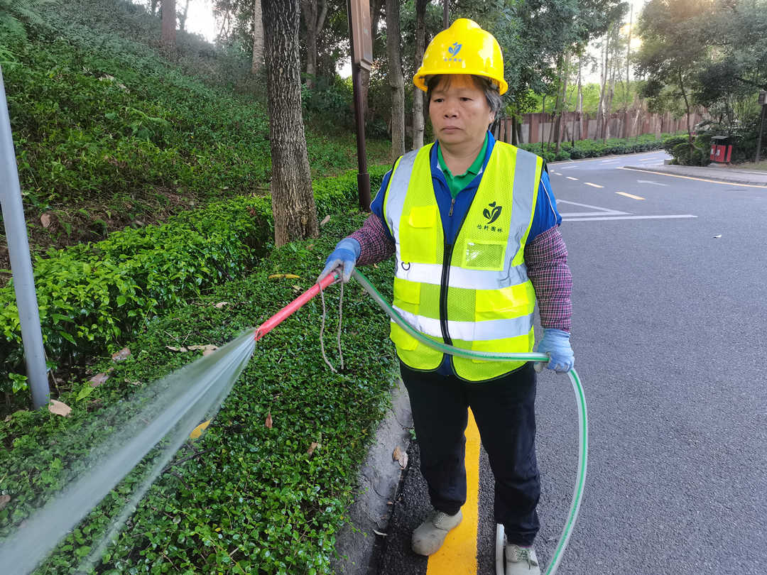 綠化養護澆水