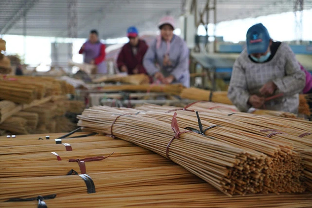 某家竹制品加工企業的工人正在打捆竹條