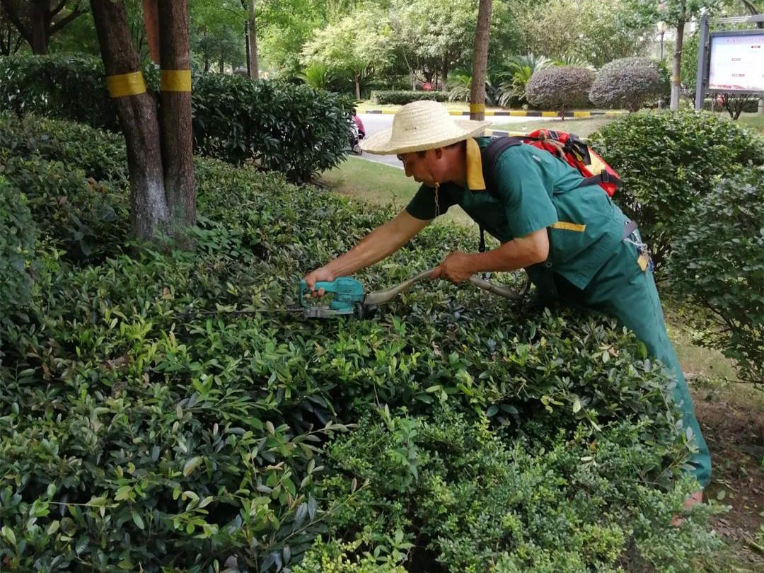 小區綠化養護修剪