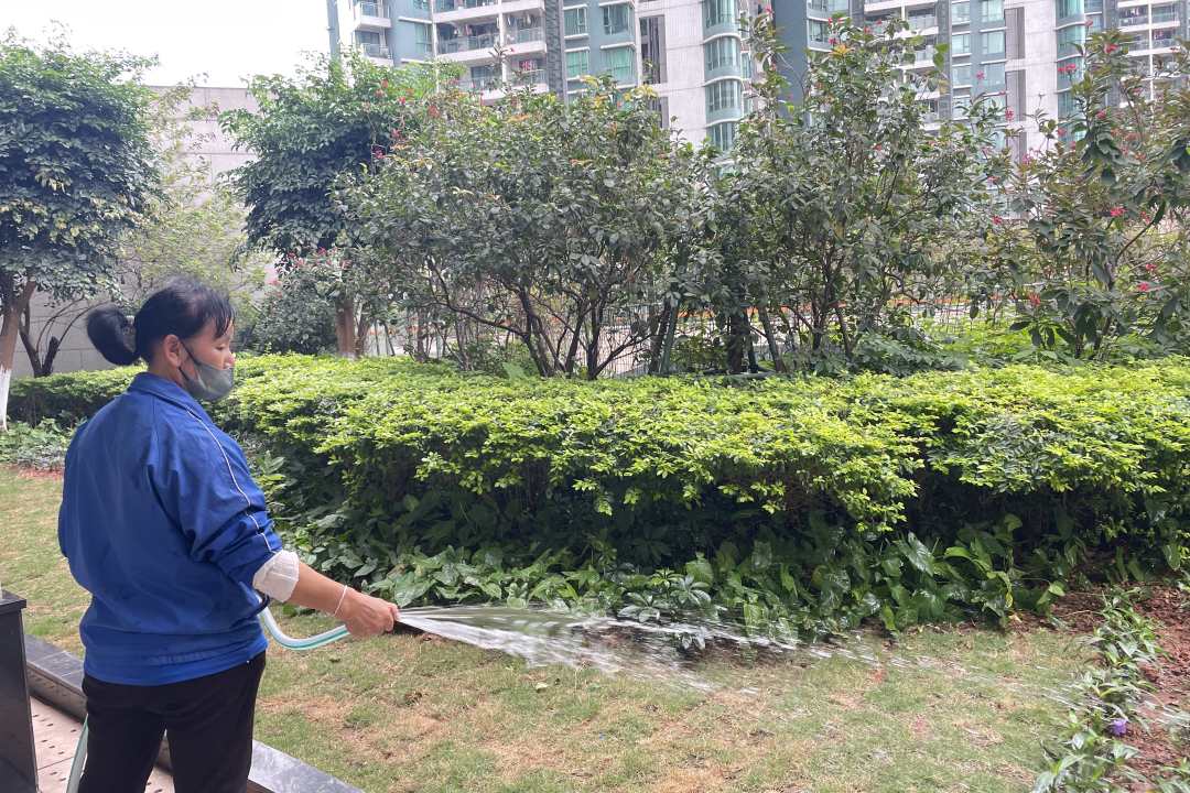 綠化養(yǎng)護澆水
