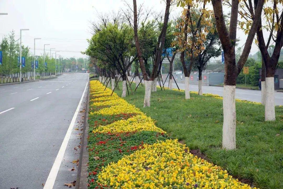 道路綠化設計原則