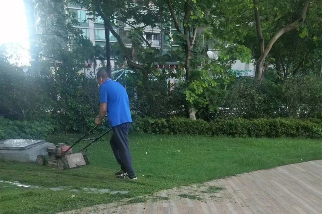 綠化養(yǎng)護修剪