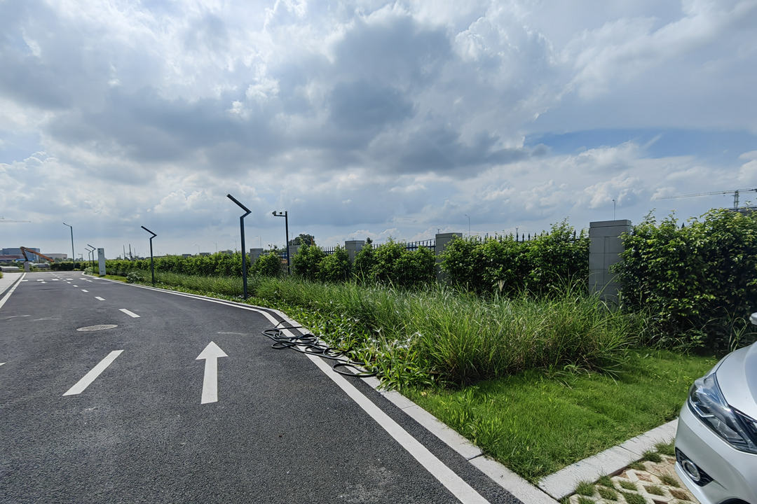 道路綠化設計灌木地被的選擇