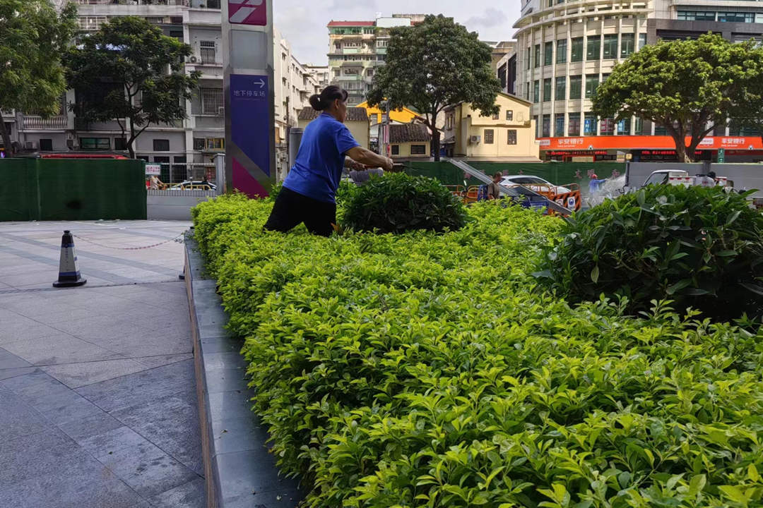 怡軒園林綠化公司工人修剪綠化帶