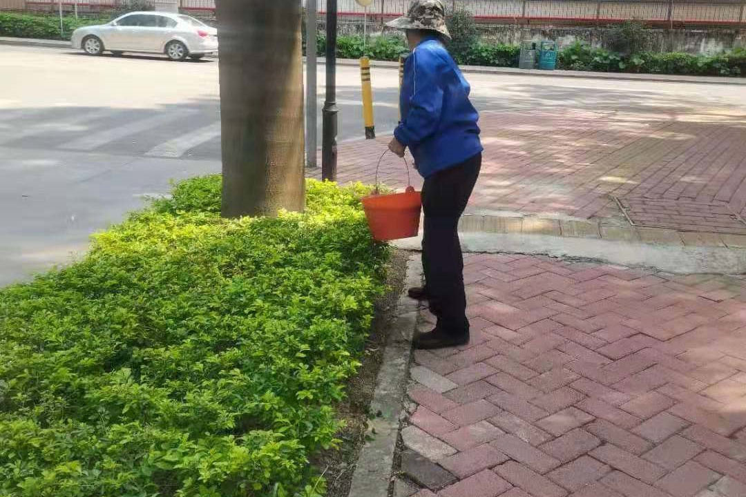 冬季綠化養護施肥