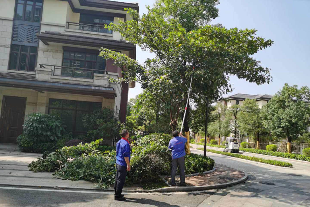 小區綠化養護修剪