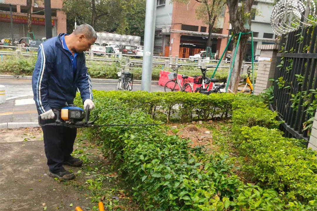 小區綠化養護修剪