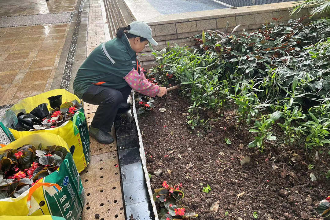 小區綠化養護補植