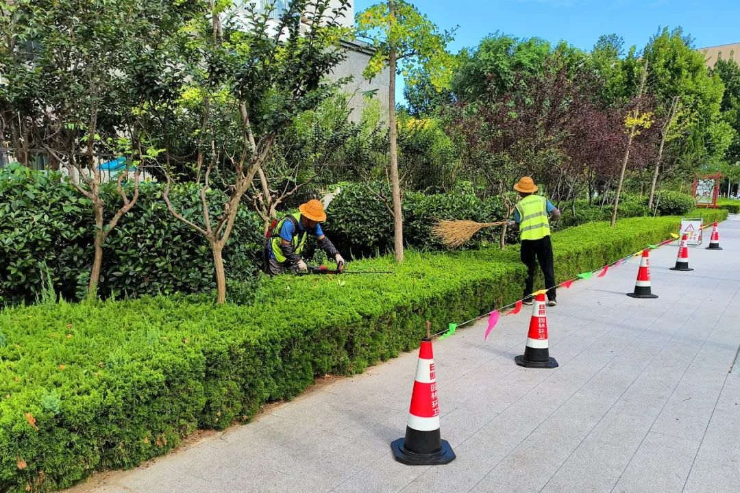 園林綠化養(yǎng)護(hù)修剪整形